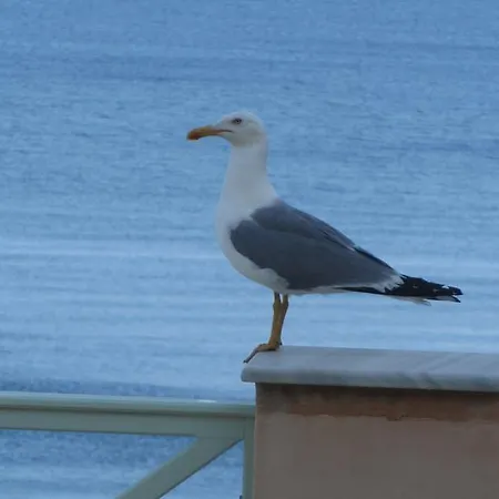 Apollonos Seafront Appartement *