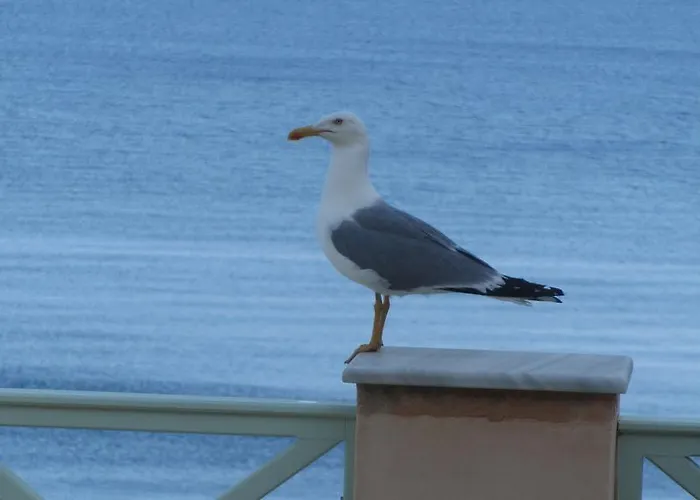 Apollonos Seafront Apartament *